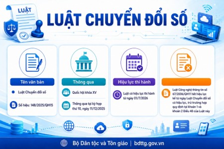 Tư vấn tái cấu trúc mô hình vận hành, chuyển đổi từ phương thức truyền thống sang hệ sinh thái số.